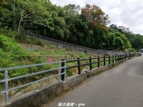 【台中。東勢】鄉村風情。 小中嵙登山步道1243192