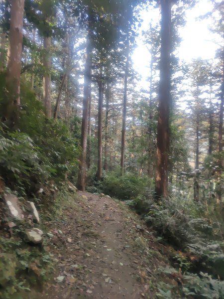 惠蓀湯公啤&小嵐2697821