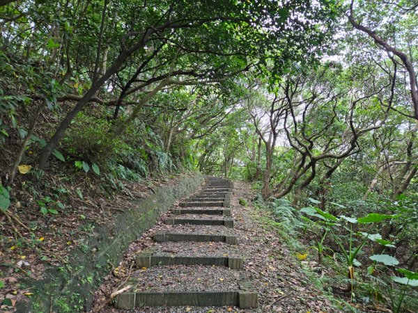 野柳里登山步道2620971