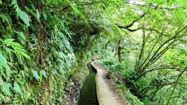 番王厝,番婆厝,王子厝,公主厝2827596