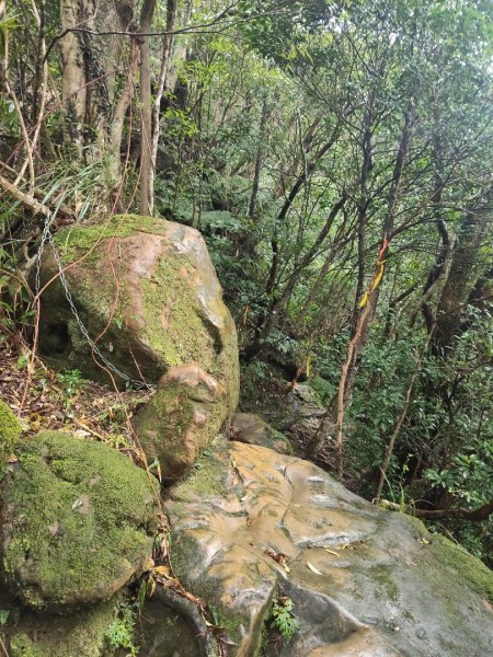 微笑山線：【五分山系】菁桐煤礦段2954726