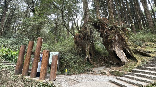 眠月線健行2992997