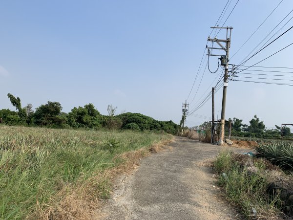 20251115高雄大坪頂2938118