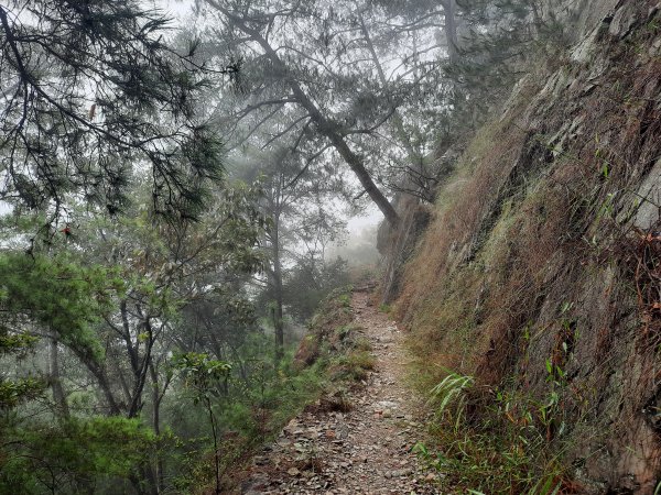 東卯山上下封面