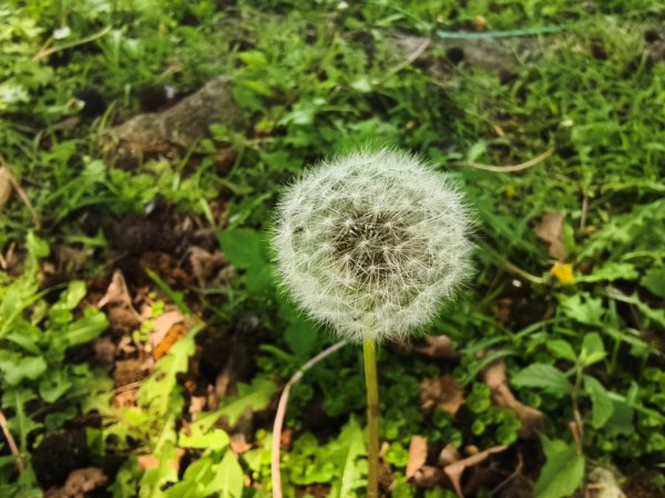 峨眉湖O繞連走十二寮山+蓬萊溪護魚步道3022335