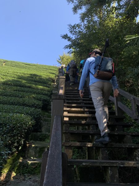 20250816嘉義鼠眉毛O繞2864067