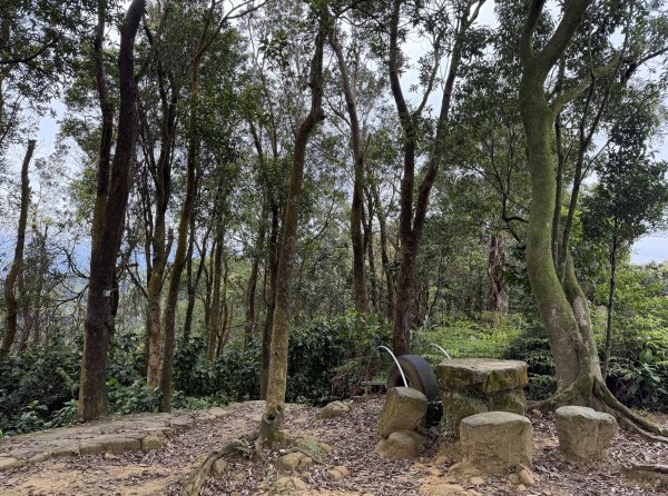 [微笑山線_第四段] 2026_0321 天上山系_三粒半3021079