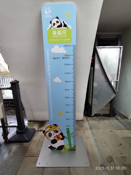 四川成都大熊貓繁育研究基地2940707