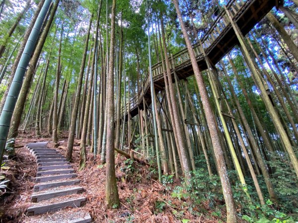 五元二角-東碧山莊O型環走837696