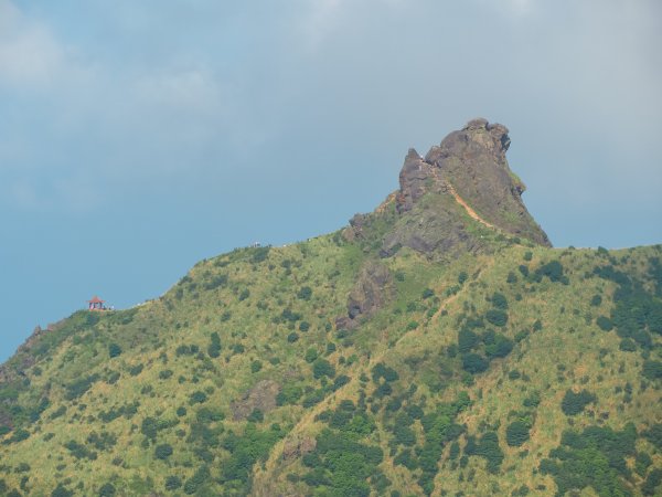 [新北]黃金三稜：無耳茶壺山、半平山、燦光寮山519462