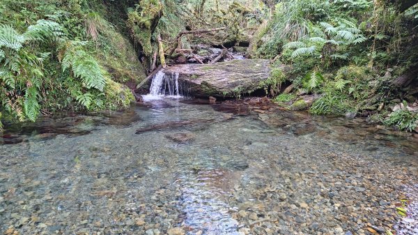 棲松縱走未竟2918391