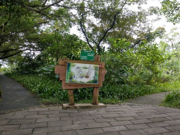 中埔山-福州山-富陽自然公園685507