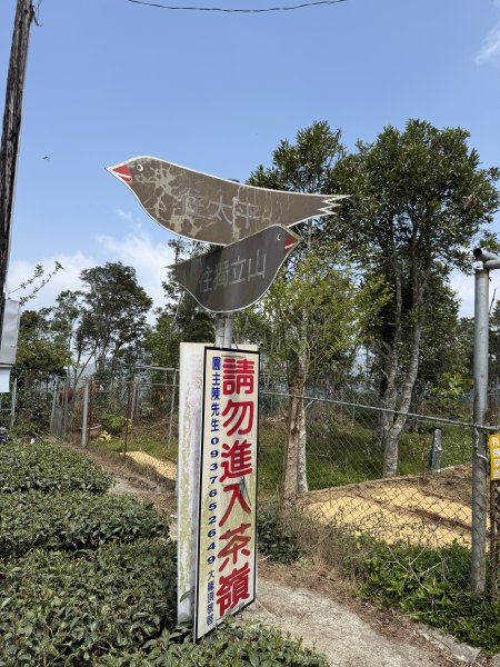 1150322雲嘉8連峰3023007