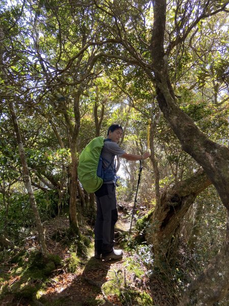 蓮包山、外鳥嘴山、那結山、貴妃山、水田林道O 型縱走1672826