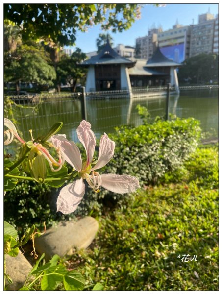 台中公園基石 (砲台山三角原點)2673278