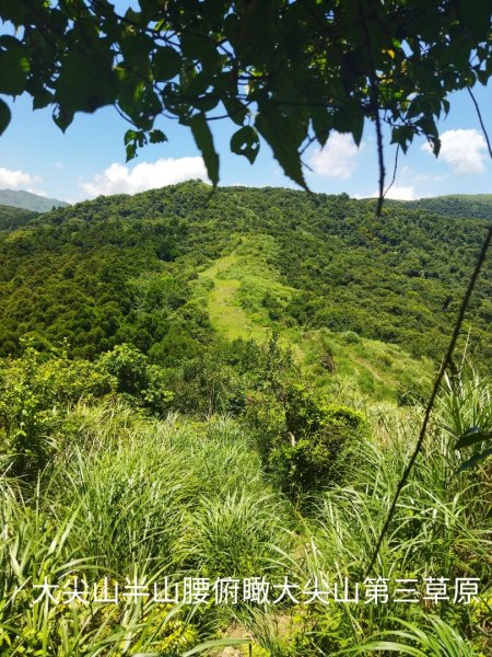 鹿堀坪越嶺古道-大草原-大尖池-大尖山-鹿堀坪古道O行1771800