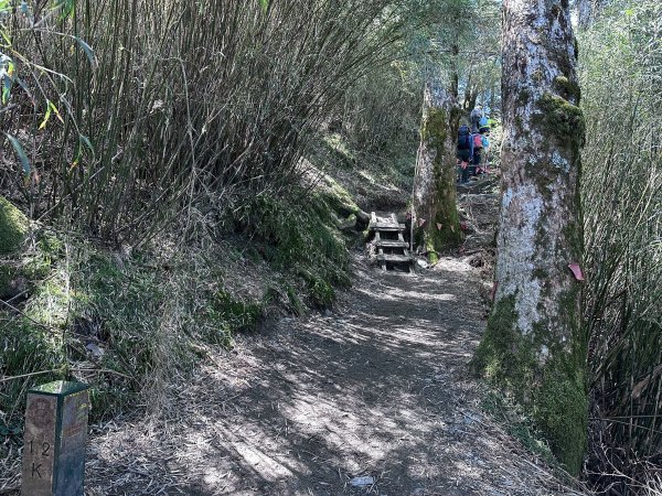 小奇萊步道2777622