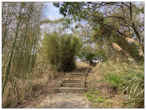 火炎山、龍峎頂步道 O型路線2783754