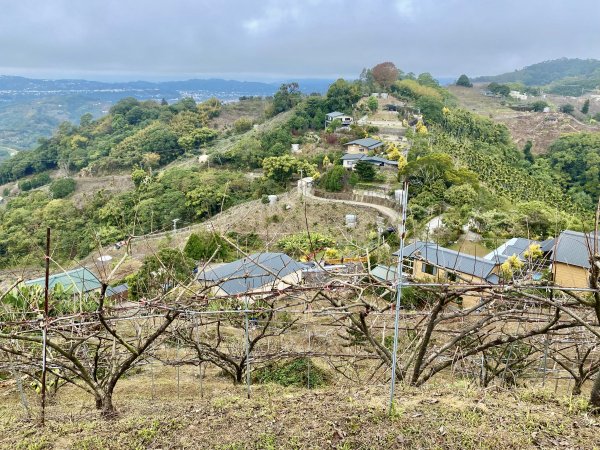 東勢基石巡禮(麻竹坑山.石角山.酒保坪山.大南坑山.主峰)  2022/12/301976278