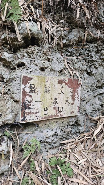 【即使簡單也要心存敬畏！】小百岳#074-大崗山、盤龍峽谷一線天O繞。3025839