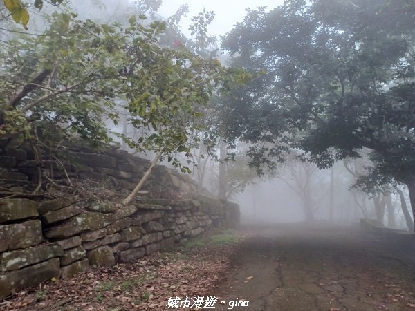 【台南。 南化】迷霧山徑。 小百岳集起來。 編號70小百岳~刣牛湖山登山步道1610470