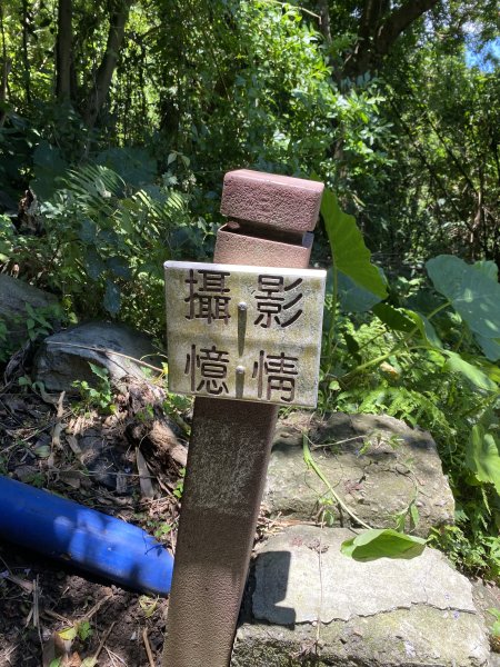 《陽明山秘境健行｜翠峰瀑布 × 天母古道 夏日涼爽路線》2852237