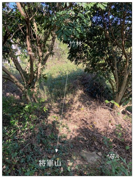 將軍山 (苗栗市)2691229