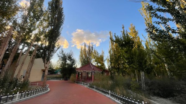 川藏318熱門的卡點-尼瑪-當惹擁措-大地之樹-雅丹地貌聖象天門2905833