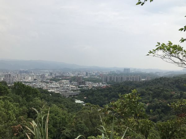 虎山親山步道半日遊379554