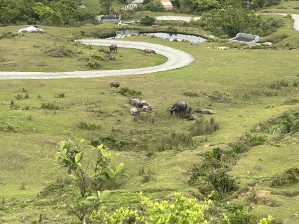 桃源谷步道(內寮、灣坑頭山、大溪)2757004