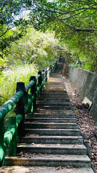 無耳茶壺山步道2878436