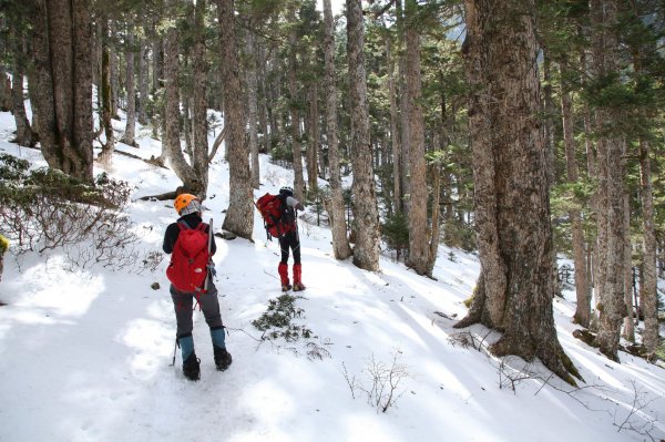【新聞】雪霸國家公園將提供雪季資訊服務，籲請山友留意登山安全