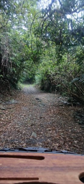 2025 4/5 加奈美山2754446