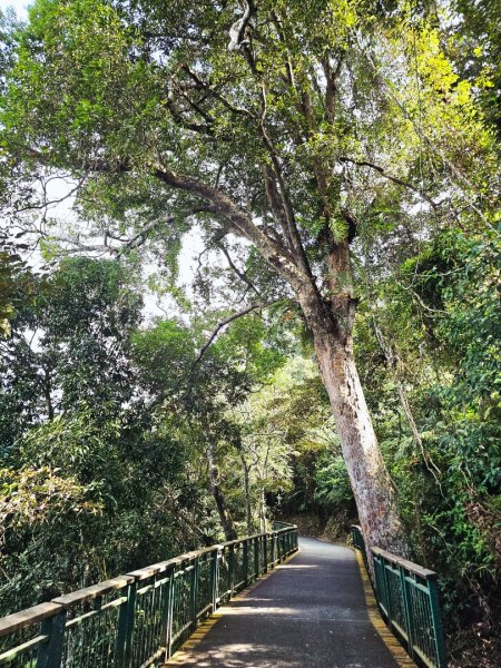 日月潭徒步環潭30公里2955805