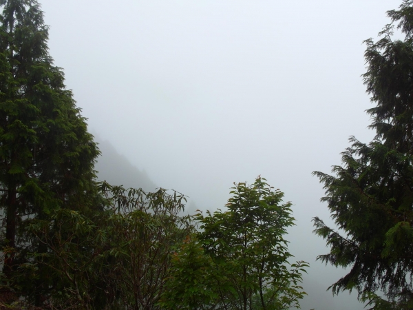 太平山之翠峰湖觀景環山步道44273
