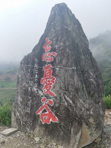 太麻里金針山步道397214