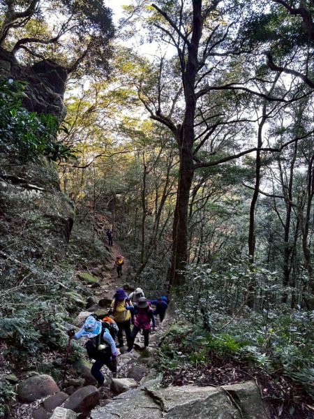 🌈3/15（日）北得拉曼神木+內鳥嘴山✨FB：熊熊趴爬走🌈3016860