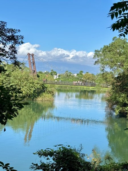 生態環境豐富的仁山植物園 感受鑑湖秋月-梅花湖的魅力2953856
