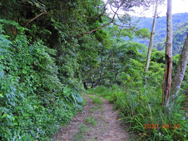 臺中 和平 觀音山1106137