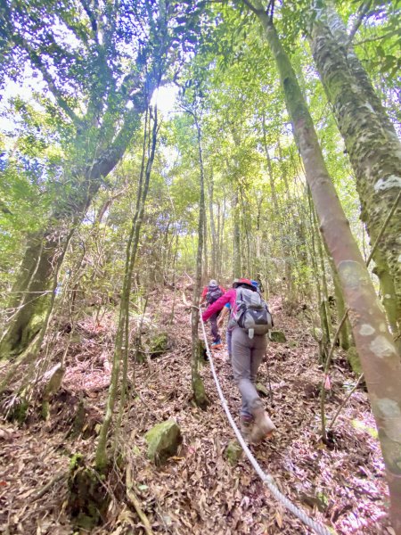 醜崠山納涼趣    2024/6/232534855