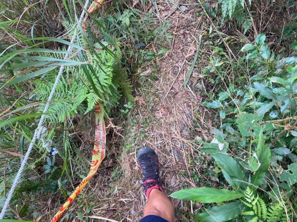 阿拔泉山.觀音石山.紅南坑山.獨立山【在山中遇見最高水準的公民素養】2656305