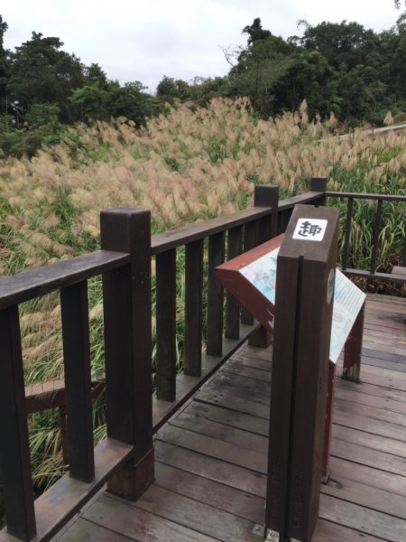 北縱七段抓了10隻博蒂742204