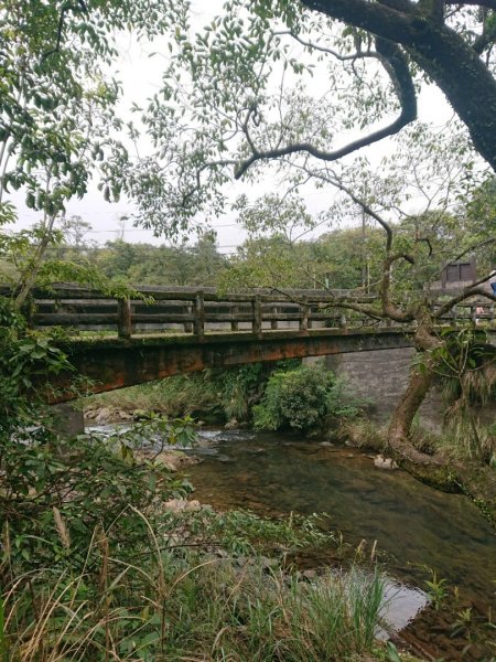 璀璨百年淡蘭古道～崩山坑古道、溪尾寮山、保城坑古道、虎豹潭步道O走1313460