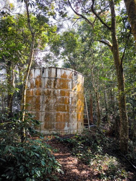 2026-02-08 藤枝山2998431