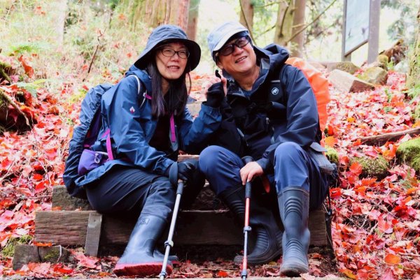 神阿縱走~台灣難抵極~大塔山2971942