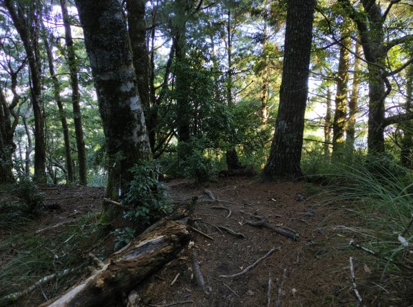 北一段(02/14)多加屯前峰2025_0906~132885119