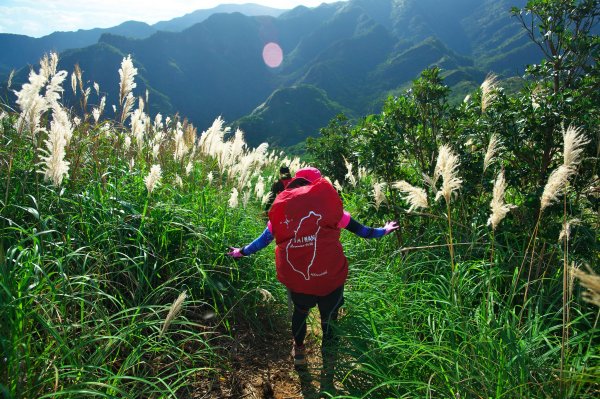 親子健行-劍龍鋸齒茶壺山779575