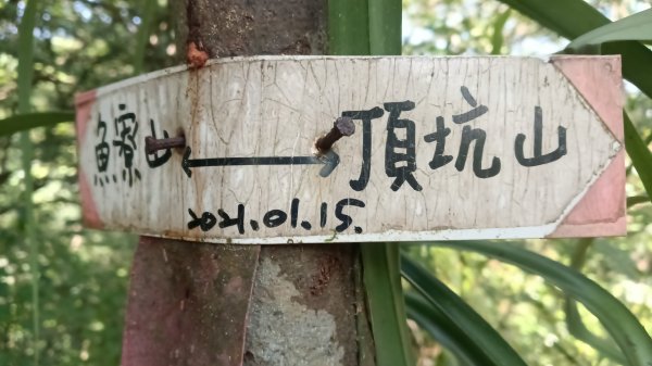 雙溪瑞芳區三貂嶺車站-幼坑古道-魚寮山-頂坑山-大煙囪-尪子崙坑-牡丹車站3128489