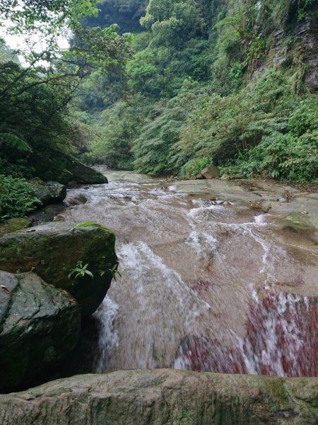 姜子寮山（小百岳）、旗尾崙山O走917283