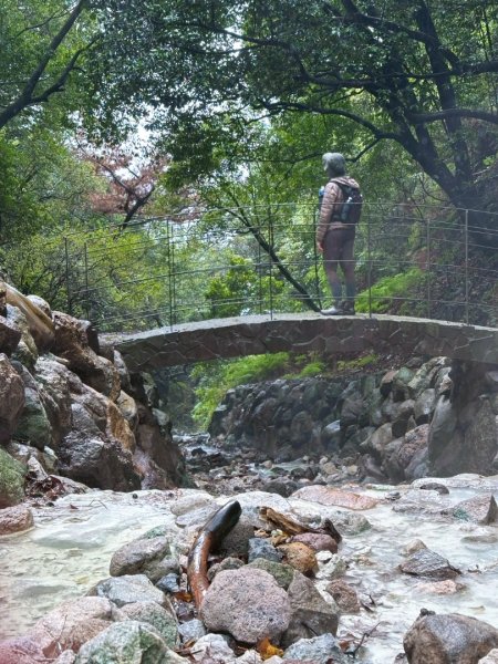 2026年元旦升旗快閃七星順探紫明溪2974009